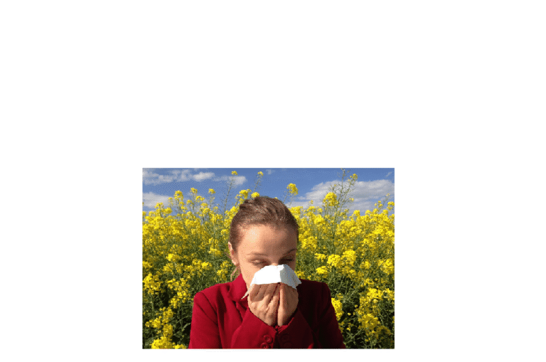 Allergie