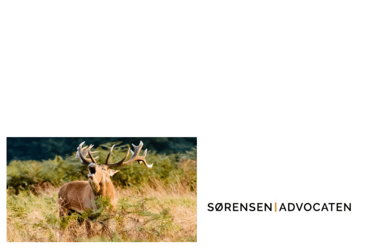 nieuwsbrief december 2018