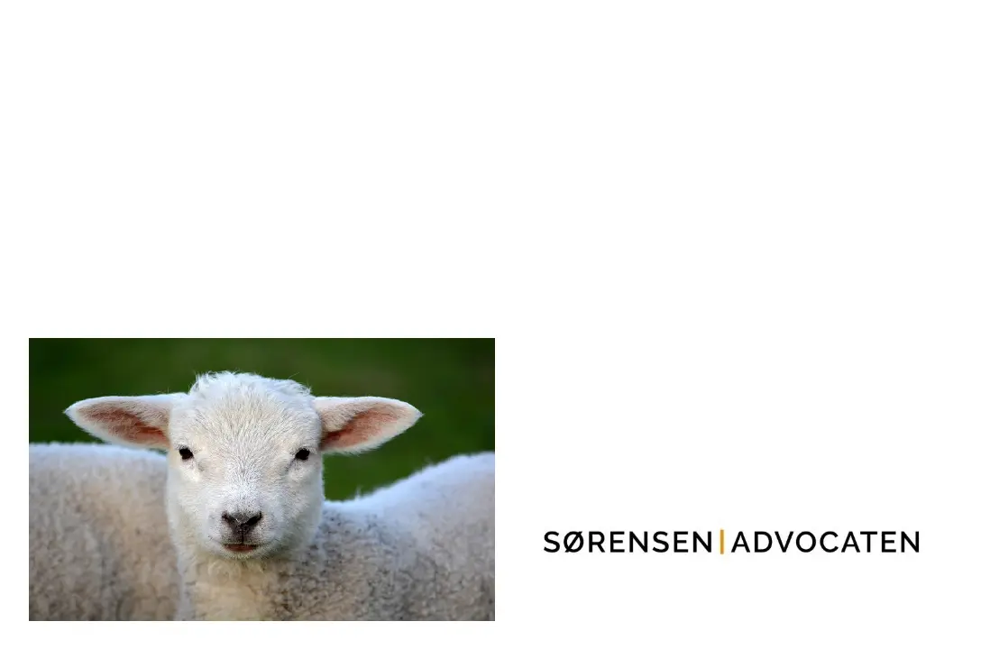 nieuwsbrief mart 2019