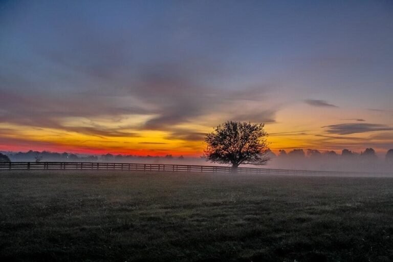 Mist V