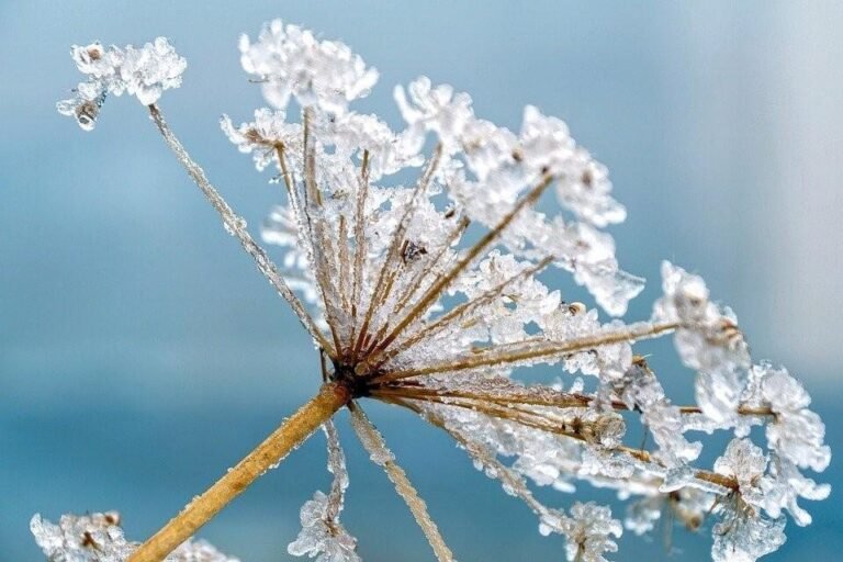 winter II