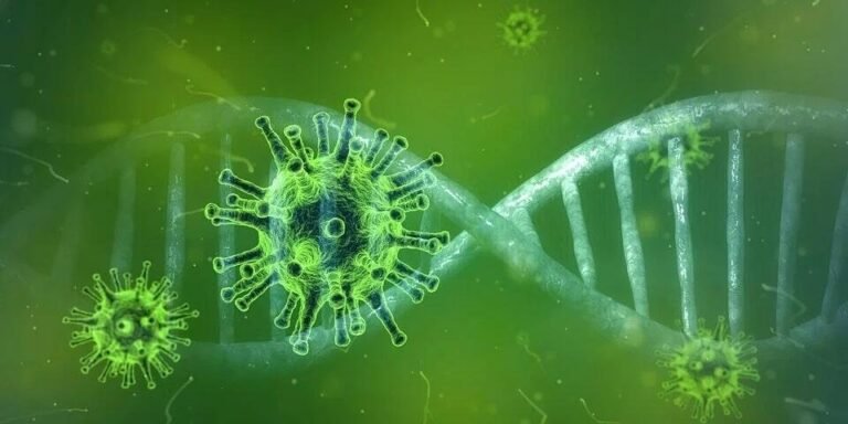 coronavirus II