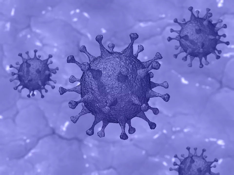 coronavirus III